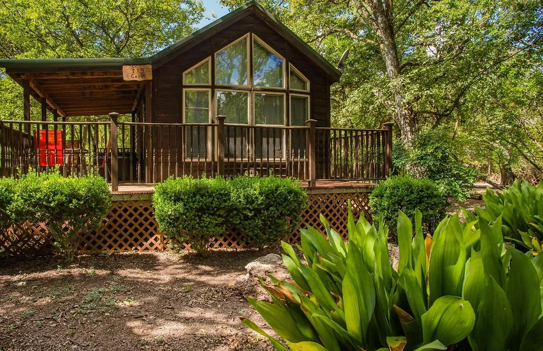 Fig Cabin-1