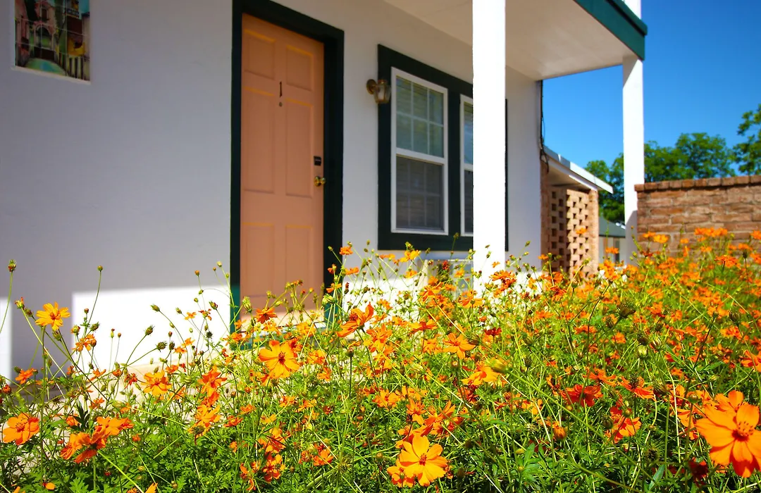 Peach Tree Inn & Suites-1