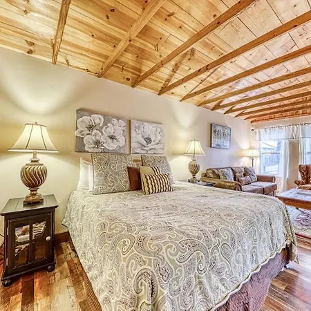 Adorable Studio Cabin With Covered Porch, Near Main Street, 2 Dogs Ok-3