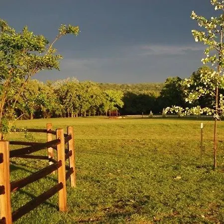 Timberrose B&B-3